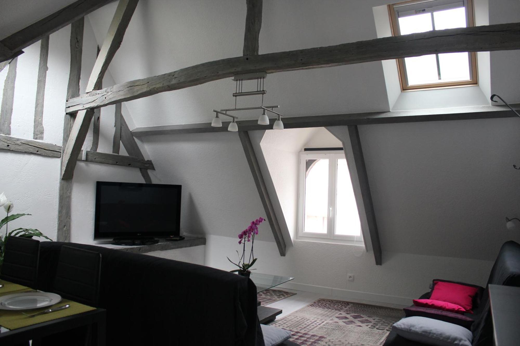 Le Logis De La Tour Apartment Amboise Luaran gambar