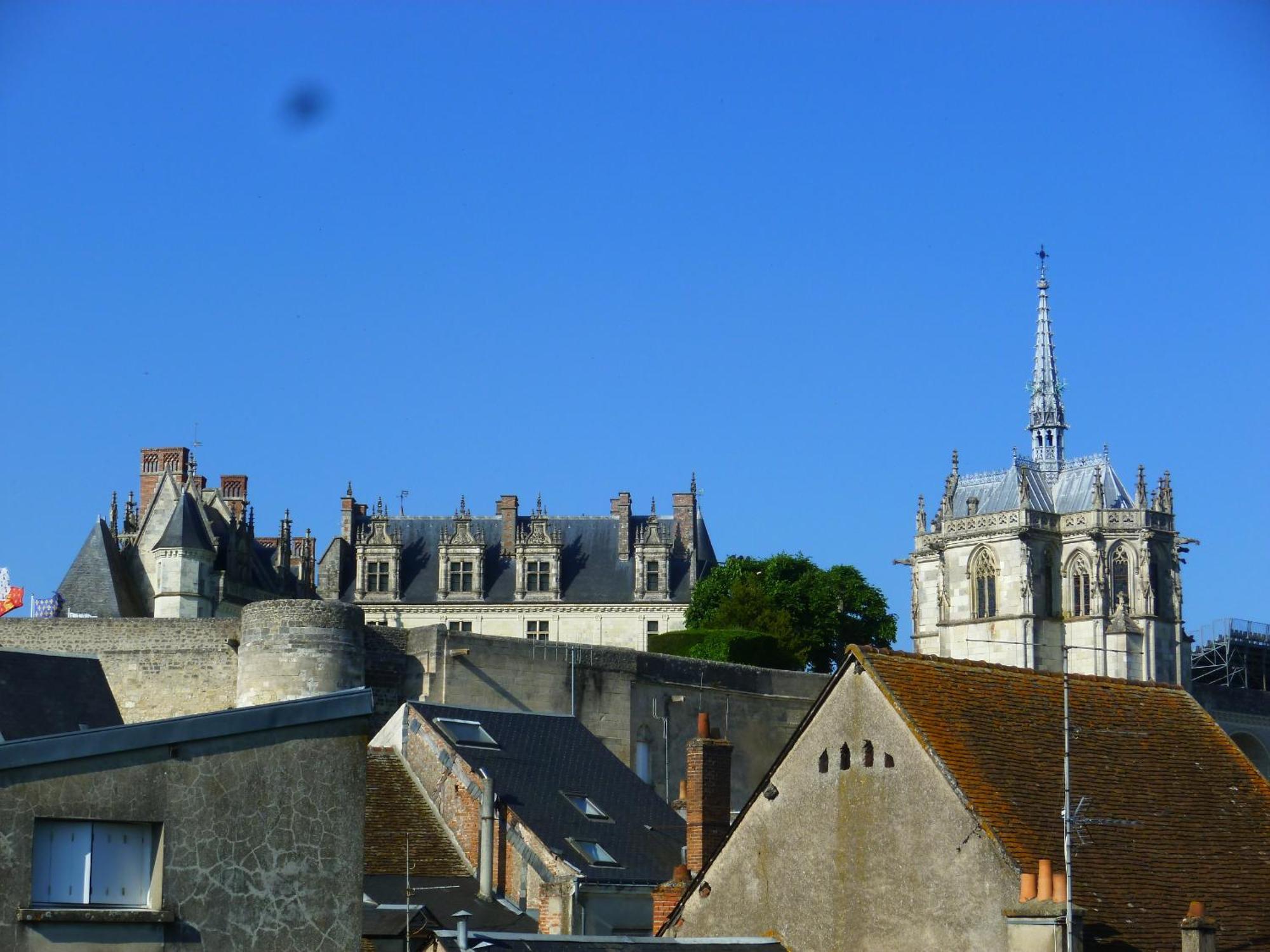 Le Logis De La Tour Apartment Amboise Luaran gambar